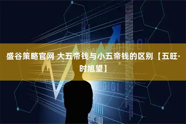盛谷策略官网 大五帝钱与小五帝钱的区别【五旺·时旭望】